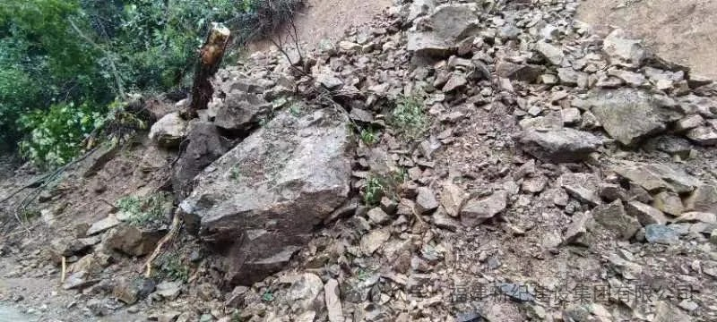 BG大游集团(中国)唯一官方网站