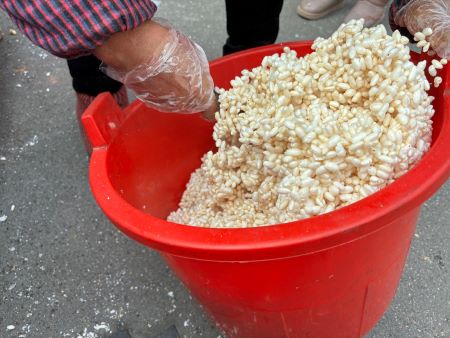 微信图片_20241205151939 微信图片_20241205151939