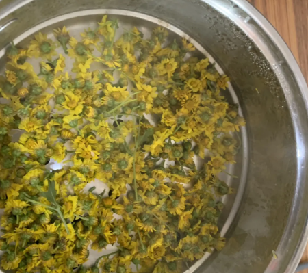 ΢��ͼƬ_20241205151254