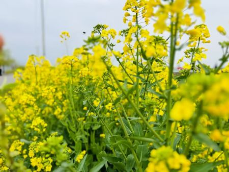 ΢��ͼƬ_20250314104816