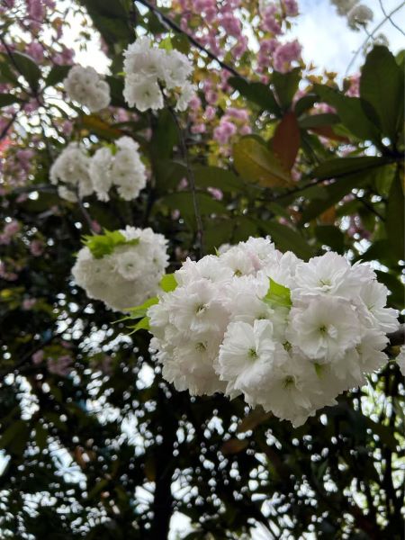 ΢��ͼƬ_20250325105347