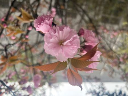 ΢��ͼƬ_20250402145629