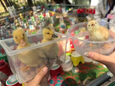 ΢��ͼƬ_20250410102331