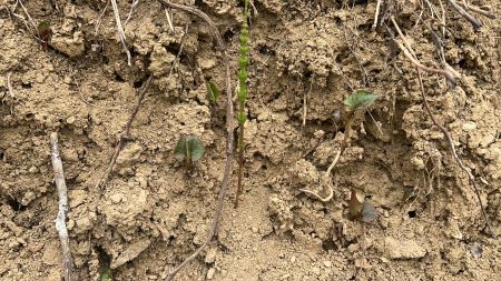 ΢��ͼƬ_20250423162456