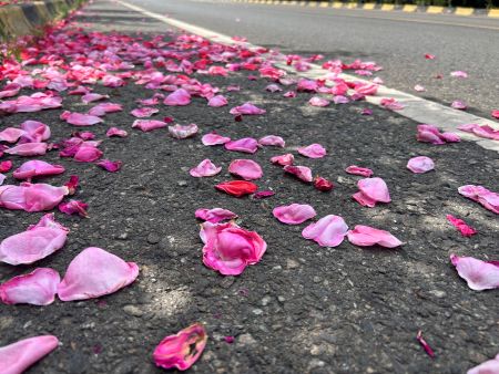 ΢��ͼƬ_20250616162008