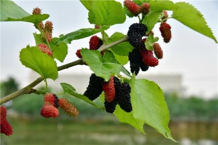 ΢��ͼƬ_20250616161733