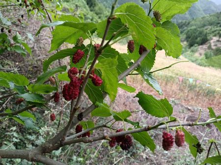 ΢��ͼƬ_20250616161729