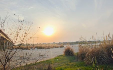 427592b4e123463317248fa0cb39320