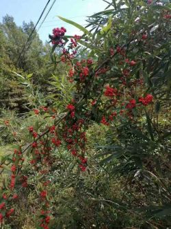 ΢��ͼƬ_20251020161351