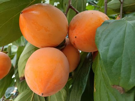 微信图片_20251021141240 微信图片_20251021141240